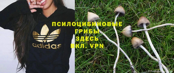 а пвп мука Алзамай