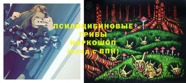 а пвп мука Алзамай