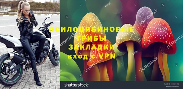 а пвп мука Алзамай