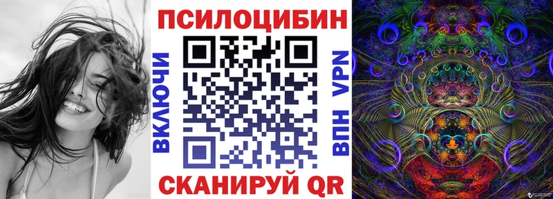 Псилоцибиновые грибы GOLDEN TEACHER  дарнет шоп  Кызыл 