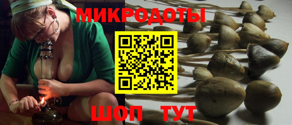 Псилоцибиновые грибы Cubensis  Вход с VPN  Кызыл 