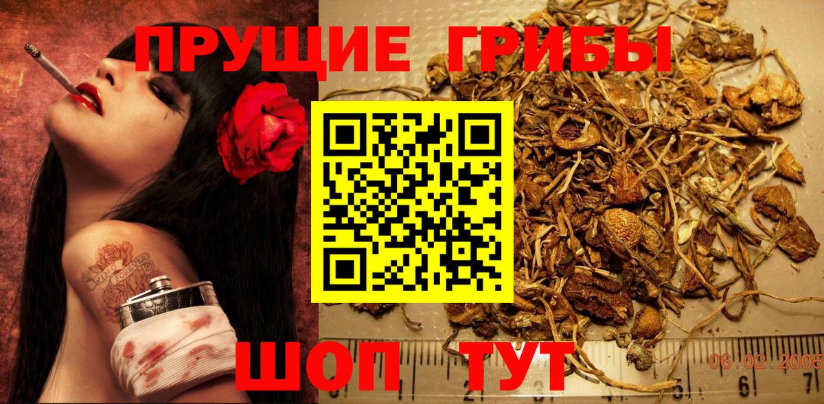 Псилоцибиновые грибы прущие грибы Кызыл